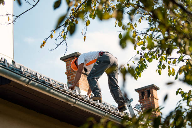 Professional Roofing Contractor in Des Allemands, LA