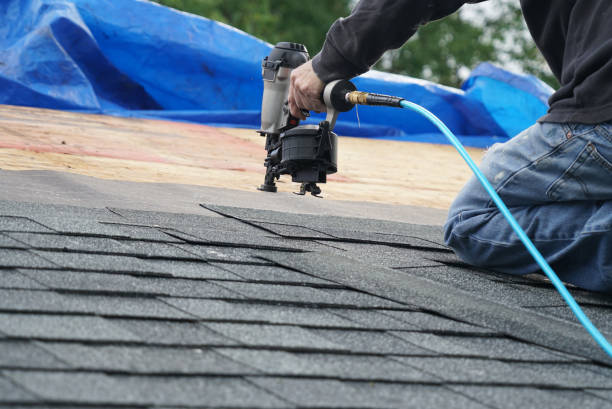 Roof Gutter Cleaning in Des Allemands, LA