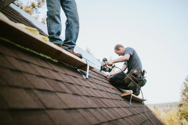 Best Gutter Installation and Roofing  in Des Allemands, LA